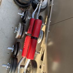Weights 