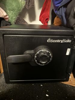 Sentry Safe