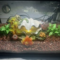 10 gallon fish aquarium