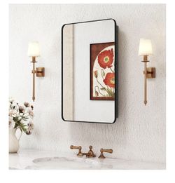 New Black Medicine Cabinet with Mirror, 16x24 