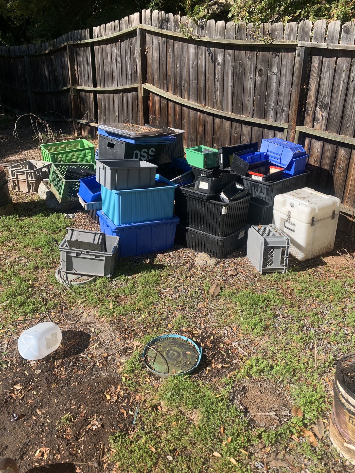 Industrial Grade Warehouse Storage Boxes (approximately 50)