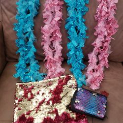 Girls Accessories Collection! Sequins Wallet, Sequins Makeup Bag/Pencil Pouch Plus 4 Sequins Scarves!