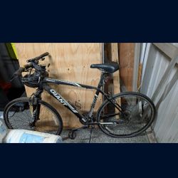 Men's Bicycle Giant Roam . City Of Orange 🍊. $125