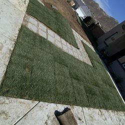 Sod Fresh And Valvles