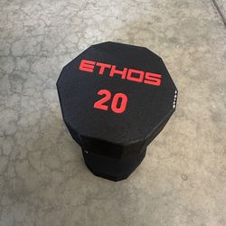 ETHOS Dumbbell 20 LBS