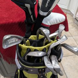 Complete 11 Club Ping/TaylorMade Golf Set w Bag