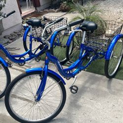 2.  26” Schwinn Adult Tricycle 