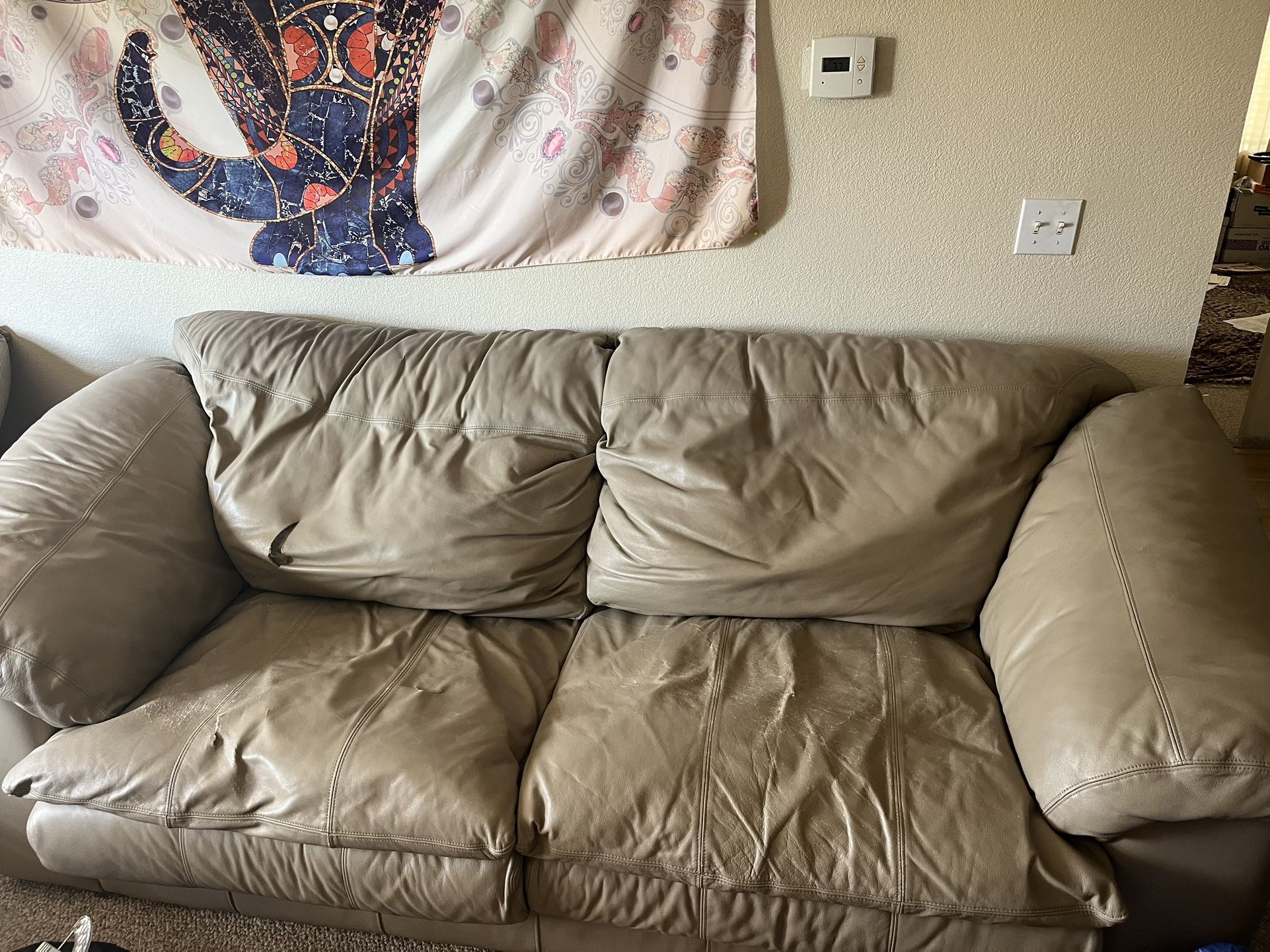 FREE Italian Leather Couch Set