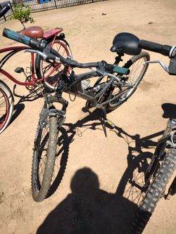 Bike Big