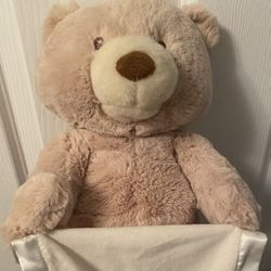 Baby Gund Peek A Boo Toy Bear