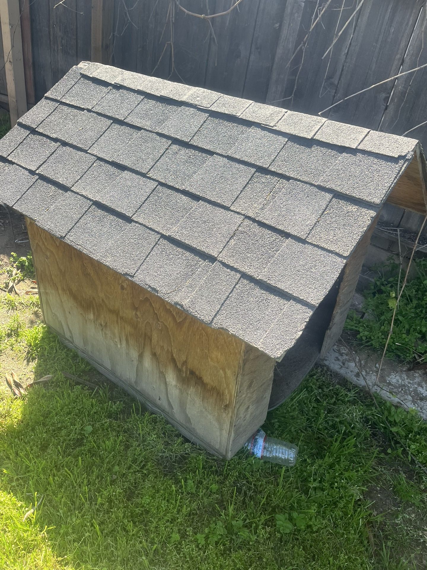 Dog House