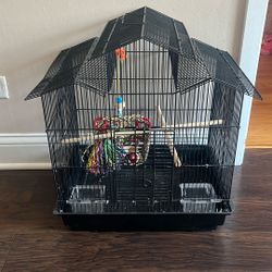 Bird Cage 
