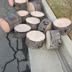 Plant Stands( Garden Decoration)