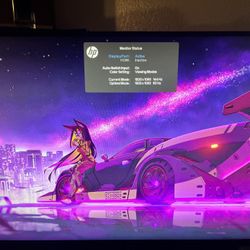 HP 1080 144 Hz Gaming Monitor G Sync / Free Sync 