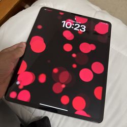 Apple iPad Pro 12.9-inch (6th generation) Wi-Fi + Cellular model 
