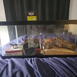 20 Gallon Snake Tank w ZILLA 100Watt Bulb