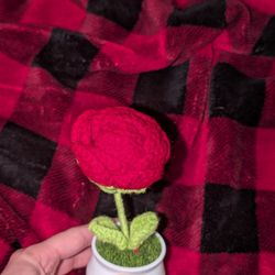 Rose Crochet 