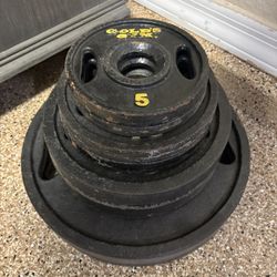 Gold’s Gym Weight Plates