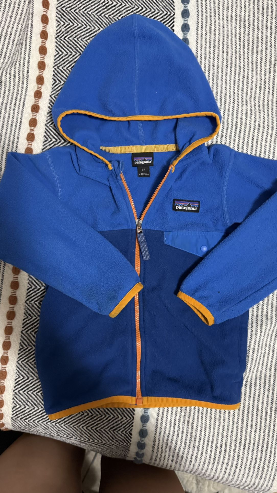 Patagonia Sweater Hoody Hoodie 3T Toddler 