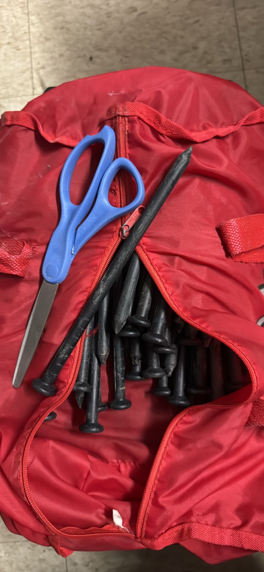 Large Plastic Nails