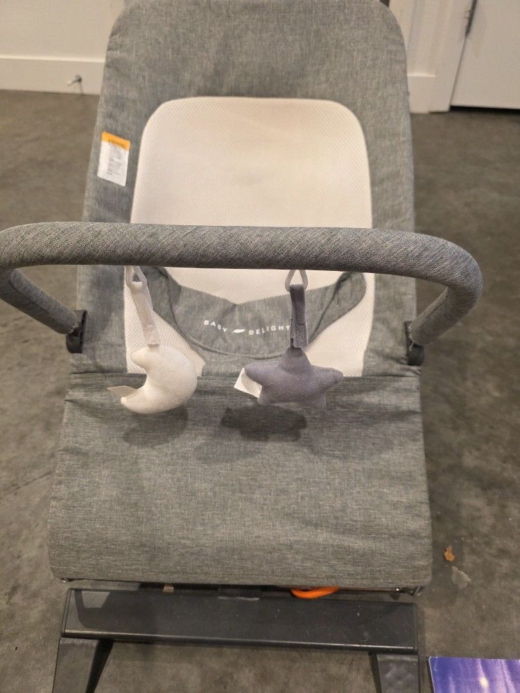 Baby Delight Bouncer