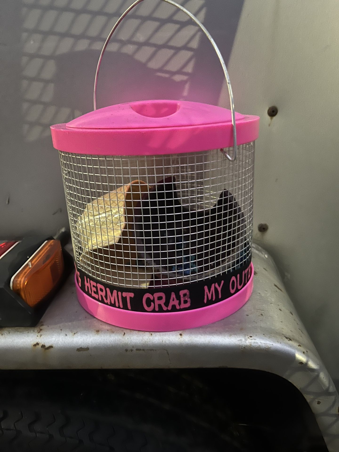 Hermit Crab 🐚 Cages For Beginners 