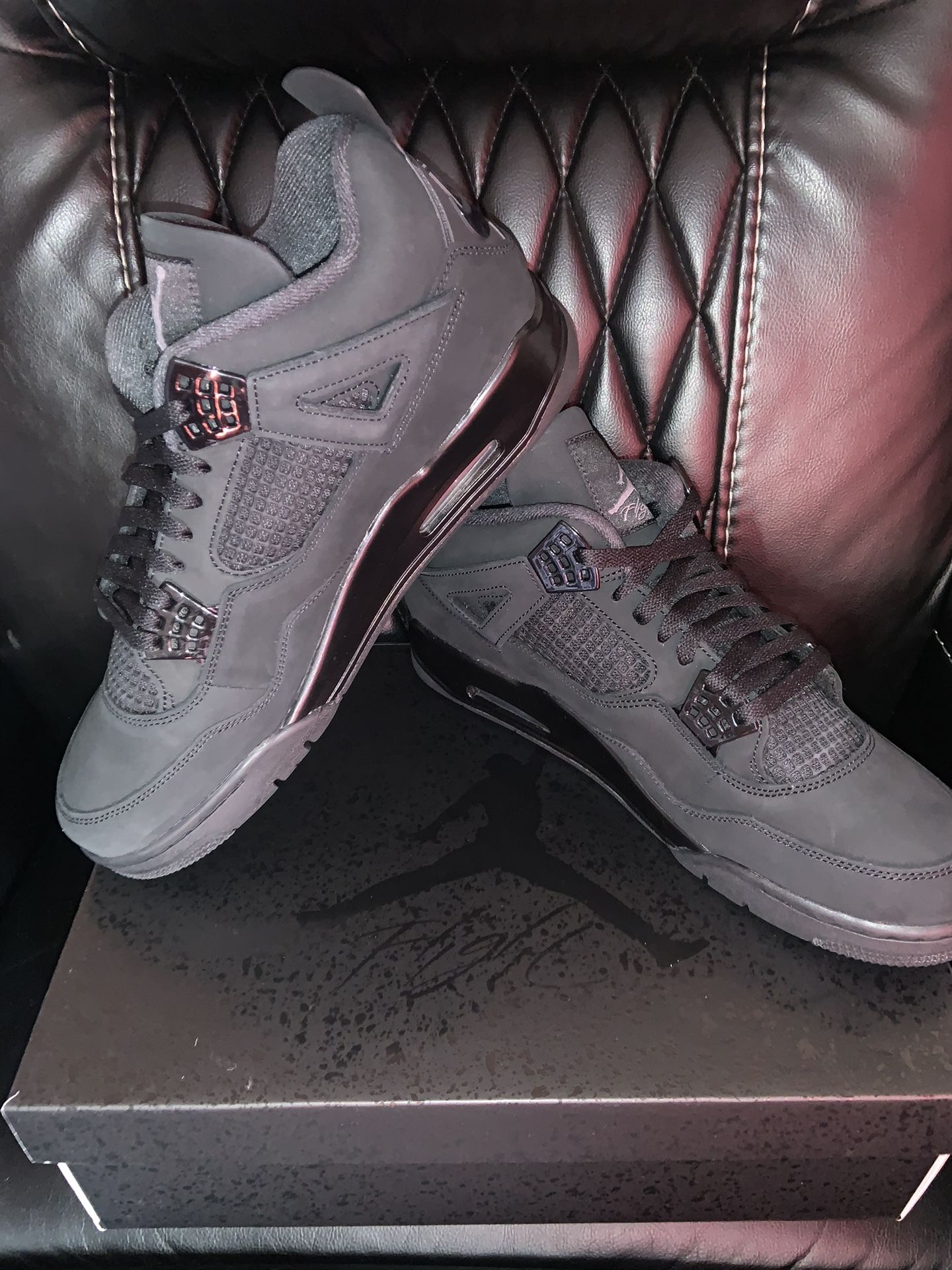 Air Jordan 4 Black Cat (Size 13)