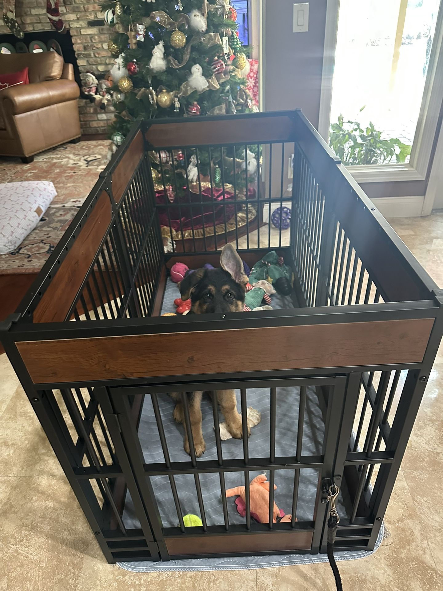 Pet Playpen