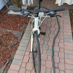 Specialized Brand Ladies Road  Bicycle