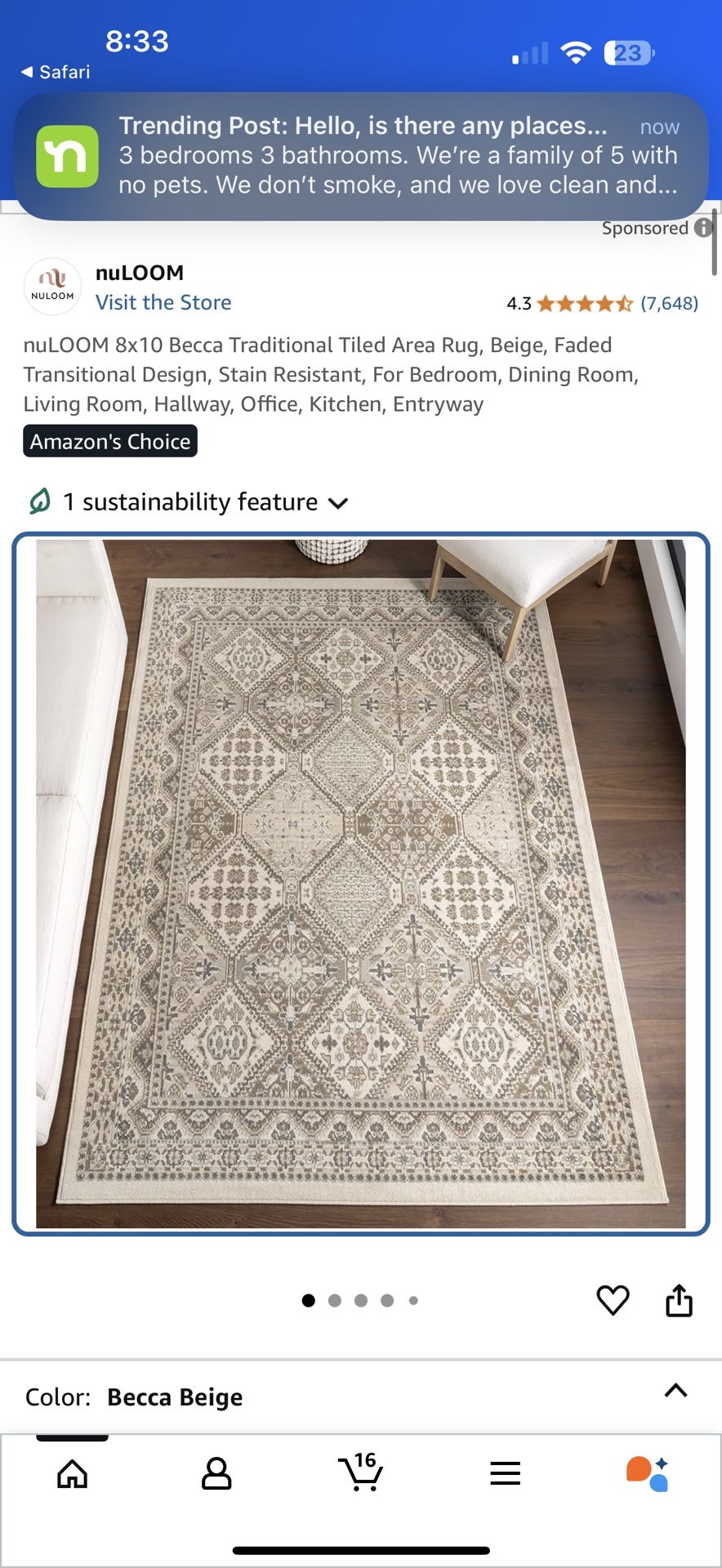 8x10 Rugs (2)