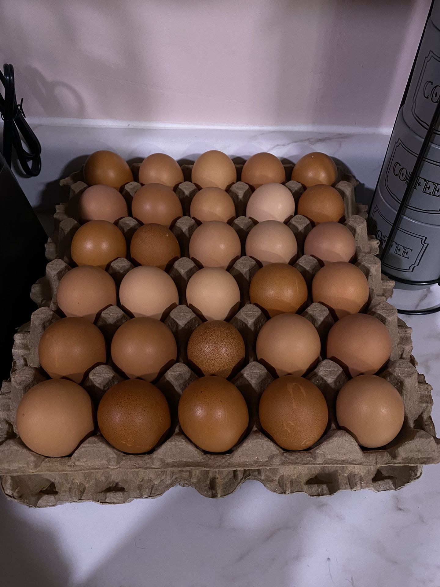 Fresh Organic Eggs