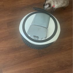 Segway Ninebot (broken)