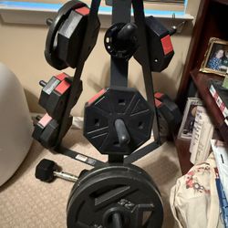 Weight Rack (weights Not Included)