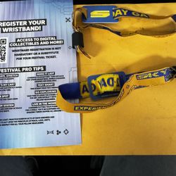 Skyline 2 Day GA Wristband