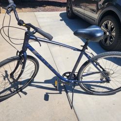 CYPRESS GIANT Hybrid