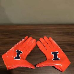 Illinois college gloves