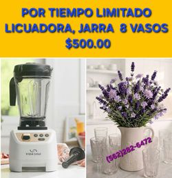 LICUADORA Y JARRA CON 8 VASOS