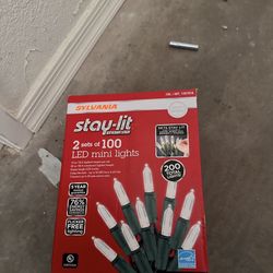 Stay Lit Mini Led Christmas Lights 