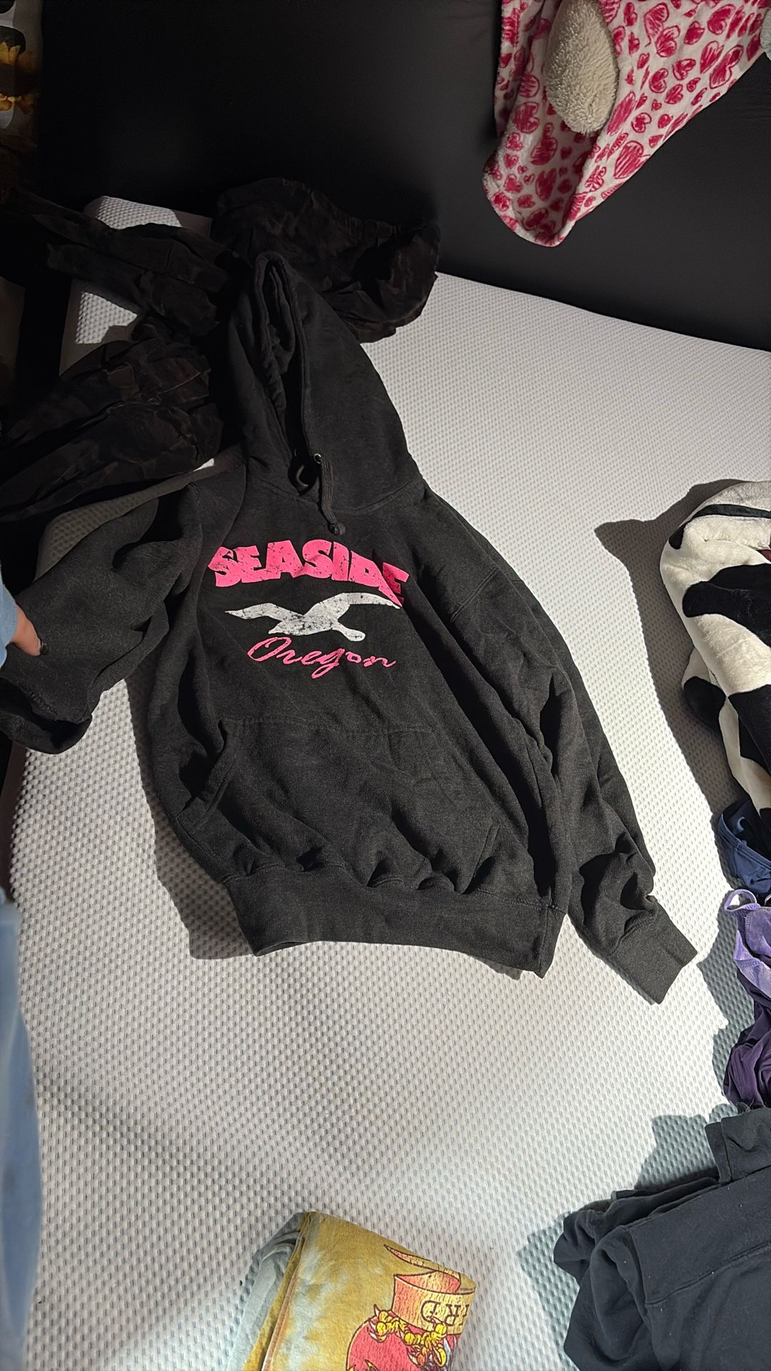 Seaside Hoodie Brand New