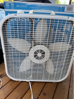 Fans