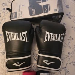 Everlast Boxing Gloves With Hand Wraps
