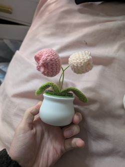 Pink And White Tulip Crochet