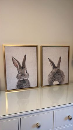 Bunny Canvas Wall Art Set of 2