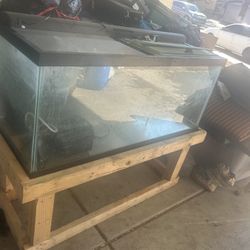 55 Gal Aquarium 