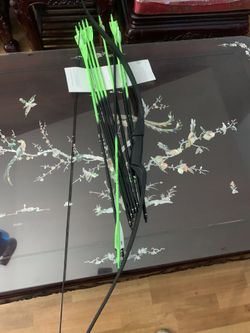 Raptor Bow And Arrow Set