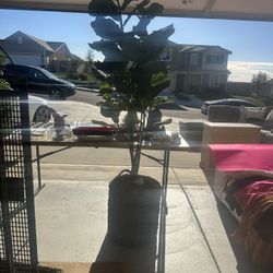 Beautiful Artificial Plant