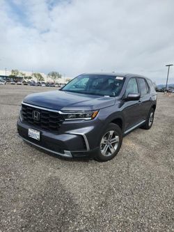 2023 Honda Pilot