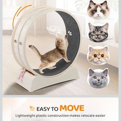 Cat Treadmill For sale