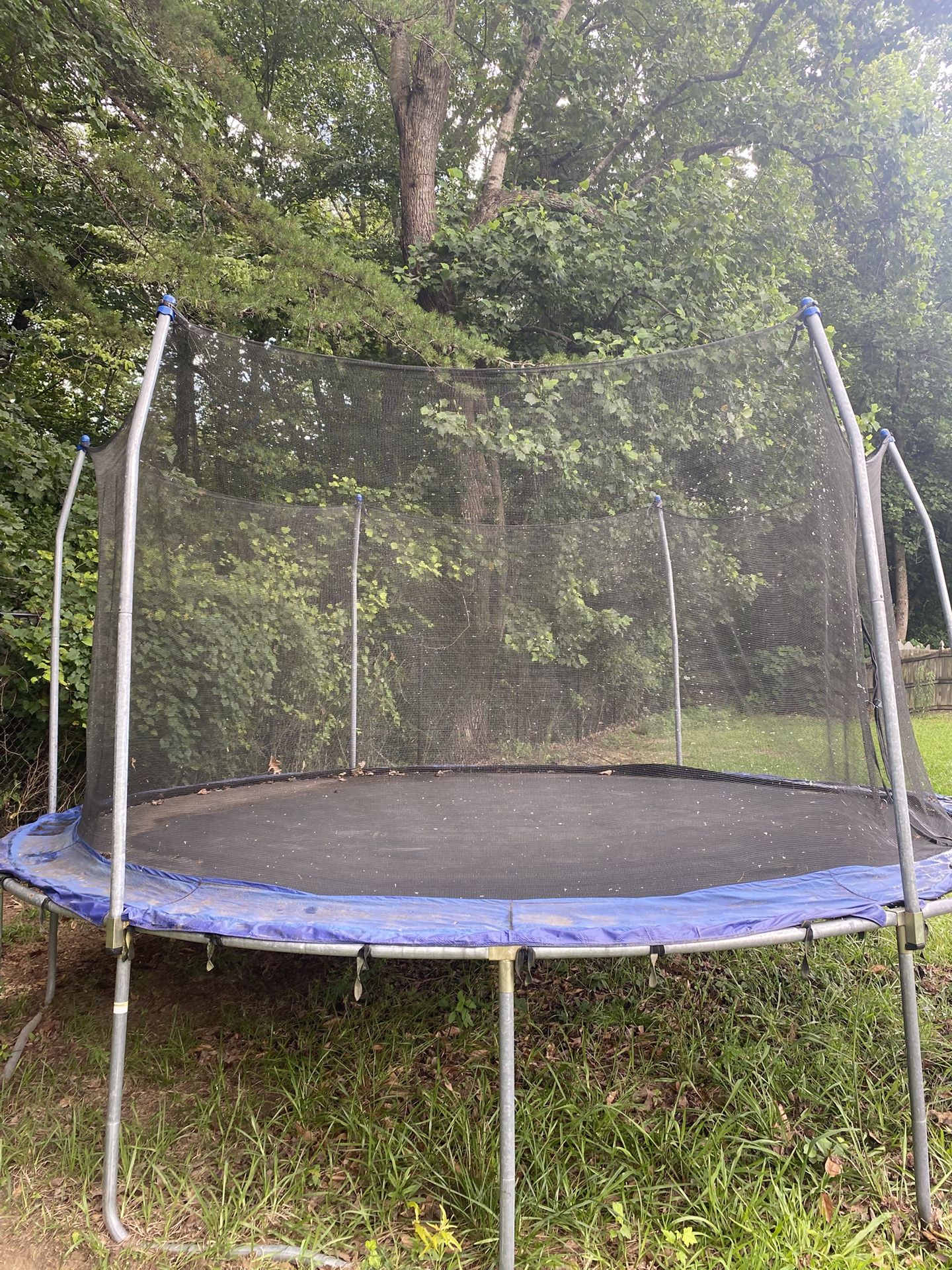Trampoline