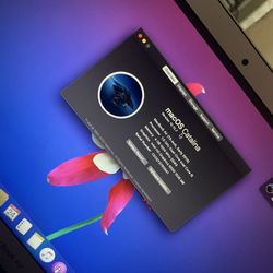 MacBook Air (early 2015) 